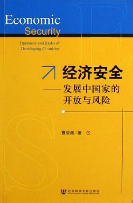 经济安全 pdf epub mobi 电子书 下载