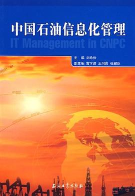 中国石油信息化管理 pdf epub mobi 电子书 下载