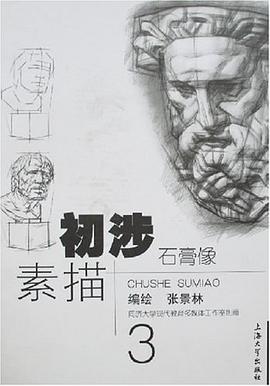 初涉素描3