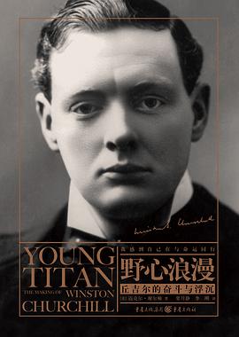 野心浪漫 pdf epub mobi 电子书 下载