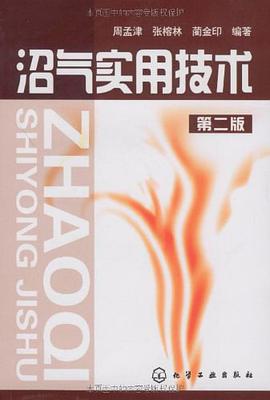 沼气实用技术 pdf epub mobi 电子书 下载