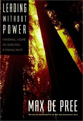 Leading Without Power pdf epub mobi 电子书 下载