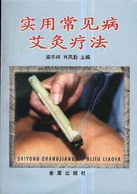 实用常见病艾灸疗法 pdf epub mobi 电子书 下载