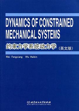 约束力学系统动力学 pdf epub mobi 电子书 下载