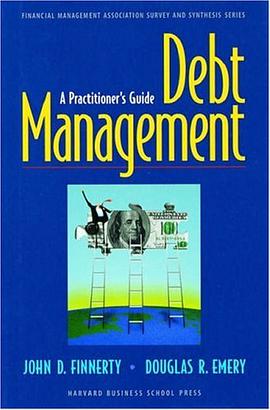 Debt Management pdf epub mobi 电子书 下载
