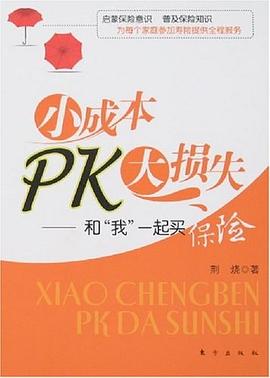 小成本PK大损失 pdf epub mobi 电子书 下载