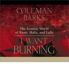 I Want Burning pdf epub mobi 电子书 下载