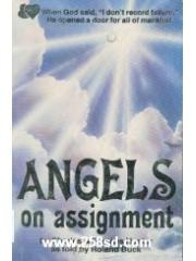 angels on assignment pdf epub mobi 电子书 下载