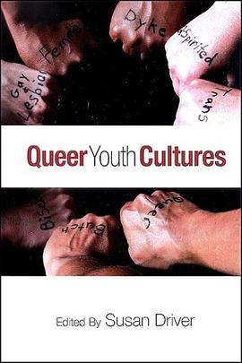 Queer Youth Cultures (Suny Series, Interruptions pdf epub mobi 电子书 下载