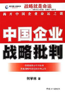 中国企业战略批判 pdf epub mobi 电子书 下载