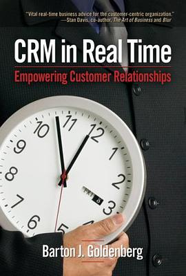 CRM In Real Time pdf epub mobi 电子书 下载