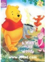 A Walk in the Woods pdf epub mobi 电子书 下载