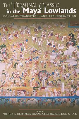 Terminal Classic in the Maya Lowlands pdf epub mobi 电子书 下载