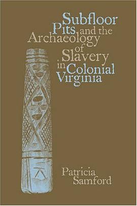 Subfloor Pits and the Archaeology of Slavery in Colonial Virginia pdf epub mobi 电子书 下载