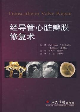 经导管心脏瓣膜修复术 pdf epub mobi 电子书 下载