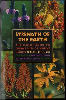 Strength of the Earth pdf epub mobi 电子书 下载