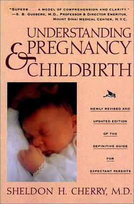 Understanding Pregnancy and Childbirth pdf epub mobi 电子书 下载