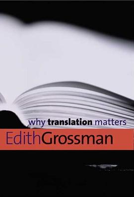 Why Translation Matters pdf epub mobi 电子书 下载