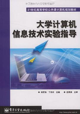 大学计算机信息技术实验指导 pdf epub mobi 电子书 下载