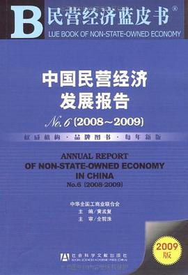 中国民营经济发展报告NO.6 pdf epub mobi 电子书 下载