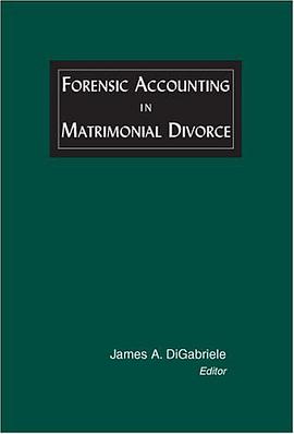 Forensic Accounting in Matrimonial Divorce pdf epub mobi 电子书 下载