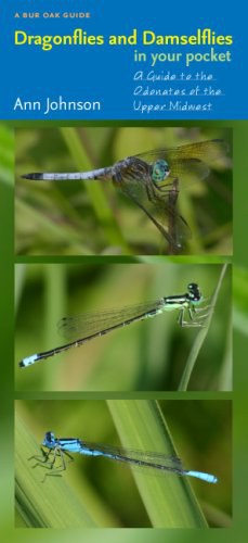 Dragonflies and Damselflies in Your Pocket pdf epub mobi 下载