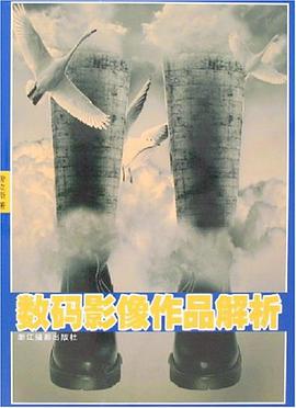 数码影像作品解析 pdf epub mobi 电子书 下载