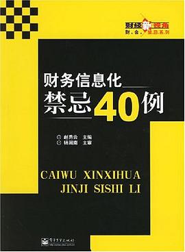 财务信息化禁忌40例 pdf epub mobi 电子书 下载