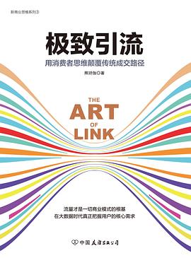 极致引流 pdf epub mobi 电子书 下载