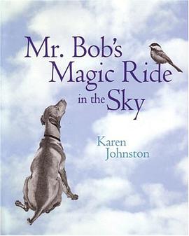 Mr. Bob's Magic Ride in the Sky pdf epub mobi 电子书 下载