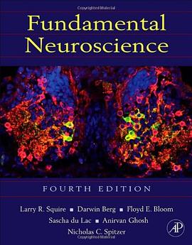 Fundamental Neuroscience, Fourth Edition pdf epub mobi 电子书 下载