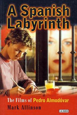 A Spanish Labyrinth pdf epub mobi 电子书 下载