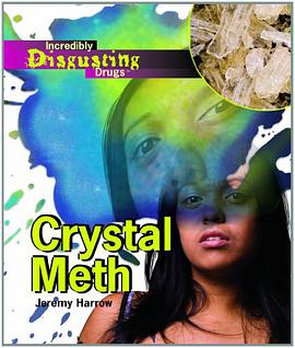 Crystal Meth pdf epub mobi 电子书 下载
