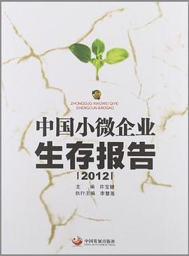 中国小微企业生存报告 pdf epub mobi 电子书 下载