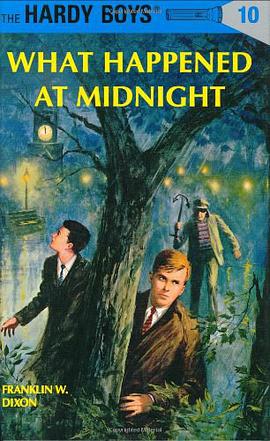 What Happened at Midnight pdf epub mobi 电子书 下载