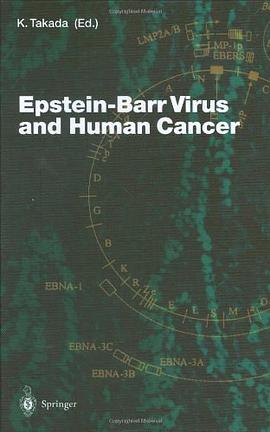 Epstein-Barr Virus and Human Cancer