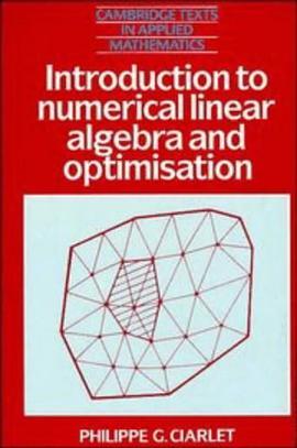 Introduction to Numerical Linear Algebra and Optimisation (Cambridge Texts in Applied Mathematics) pdf epub mobi 电子书 下载