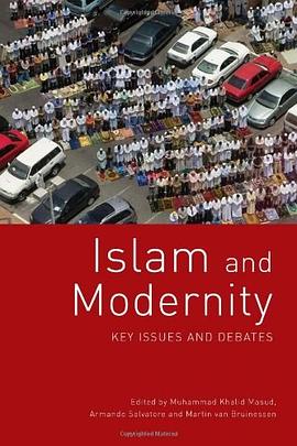 Islam and Modernity pdf epub mobi 电子书 下载