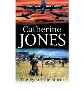 Eye of the Storm pdf epub mobi 电子书 下载