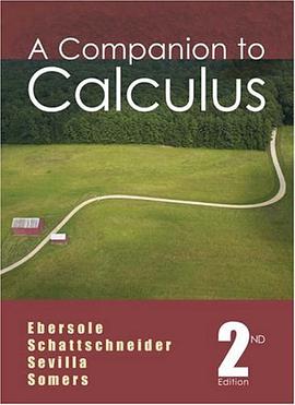 A Companion to Calculus pdf epub mobi 电子书 下载