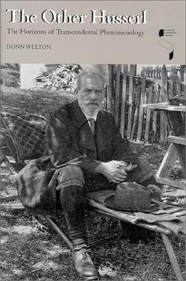 The Other Husserl