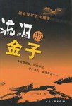 流泪的金子 pdf epub mobi 电子书 下载