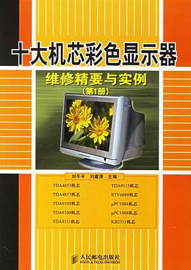 十大机芯彩色显示器-维修精要与实例(第1册) pdf epub mobi 电子书 下载