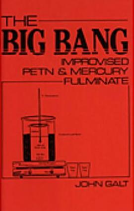 Big Bang pdf epub mobi 电子书 下载