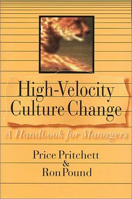High Velocity Culture Change pdf epub mobi 下载