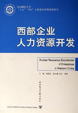 西部企业人力资源开发 pdf epub mobi 电子书 下载