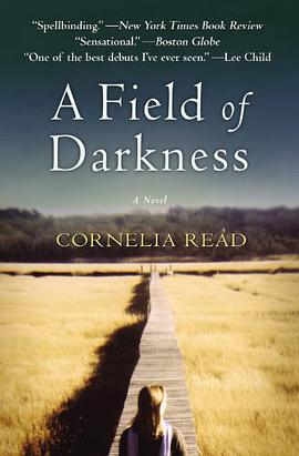 A Field of Darkness pdf epub mobi 电子书 下载