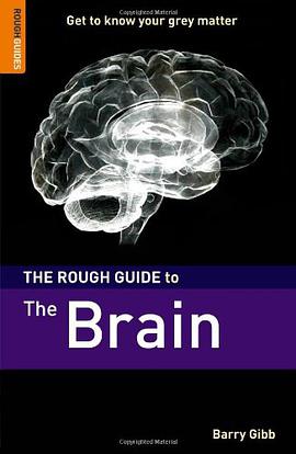 The Rough Guide to The Brain pdf epub mobi 电子书 下载