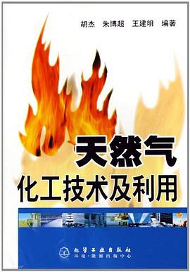 天然气化工技术及利用 pdf epub mobi 电子书 下载