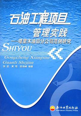 石油工程项目管理实践 pdf epub mobi 电子书 下载